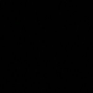 Meet your Posher, Audrey